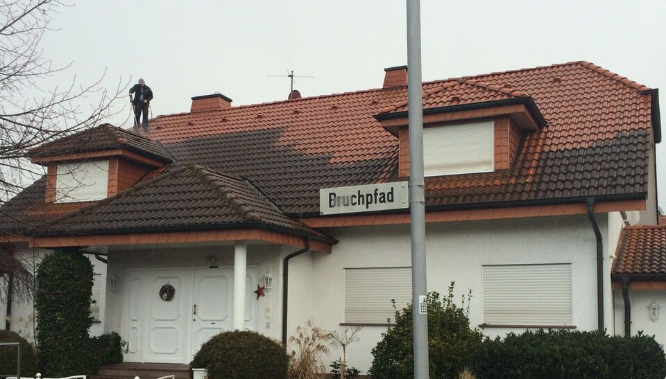 dach3.jpg