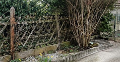 cd29b385-37e6-4c50-81a3-6490c6ed5aaf_edited.jpg