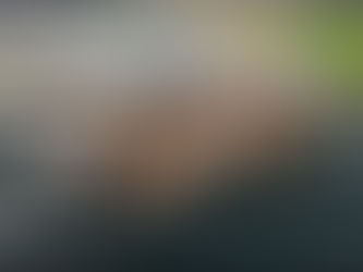 Berkley Group at the Richmond Diamond