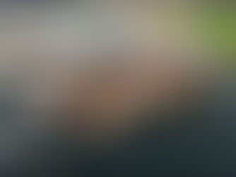 Berkley Group at the Richmond Diamond