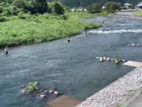 7月19日(土)引き水です。✨✨