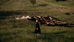 Kate | Sheep farm