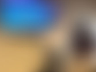 Evidence-Based Respiratory Physiotherapy and Pulmonary Rehabilitation in Malta – The Way Forward