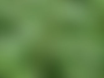 Breathing Easier This May: What the Latest Asthma Research Means for Malta