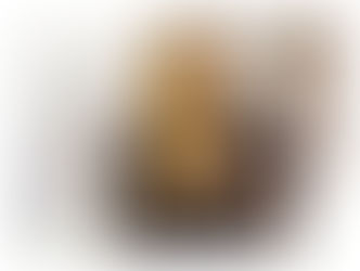 Wendy Williams’ New Medical Report Bolsters Case to End Guardianship.