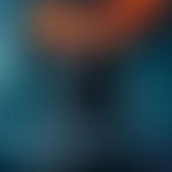 捨て駒