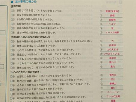 アインシュタイン・トレーニング