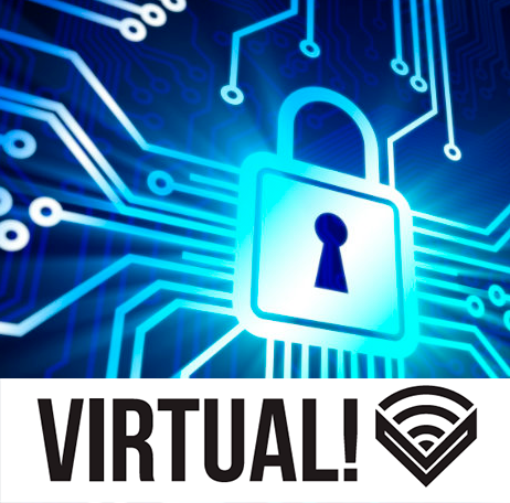 VIRTUAL! Segurança e Privacidade na WEB