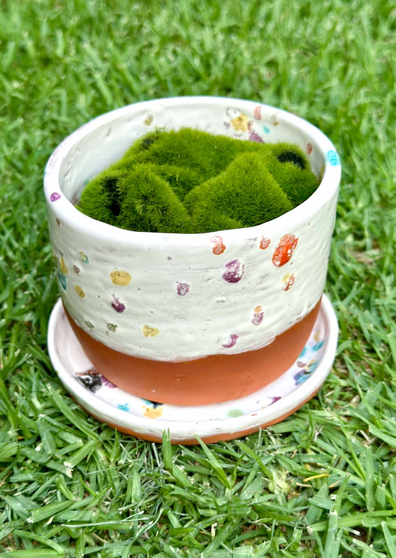 Plant Pot - Handmade Glazed Terracotta, Colour Speckle