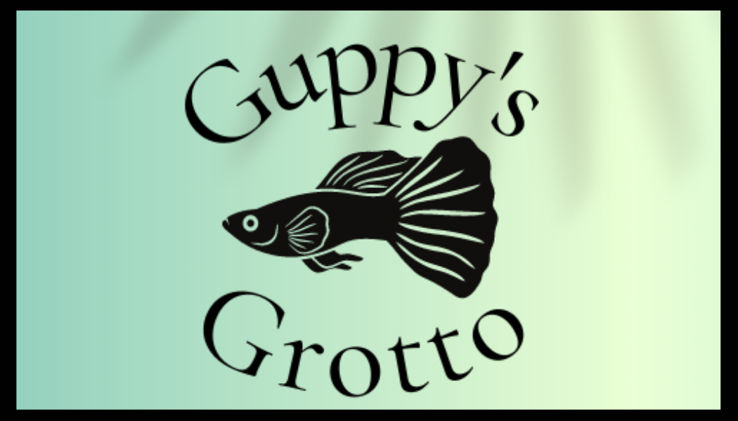 Guppy