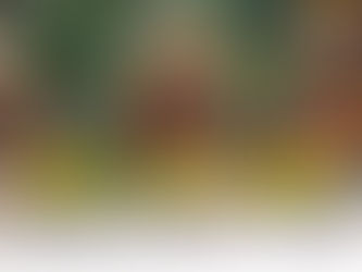 Nostalgia dengan Sekar Sari Group