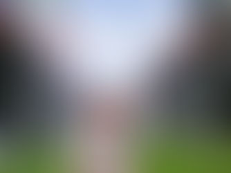 The Hub of International Organization