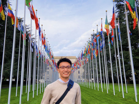 The Hub of International Organization