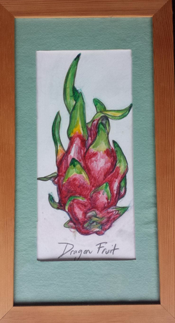 Dragon Fruit