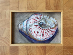 raspberry ripple shell
