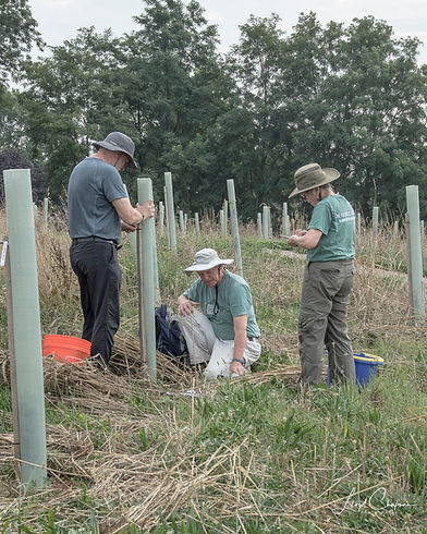 07-27-23-AMC-Evaluating-Trees-6-resized.jpg
