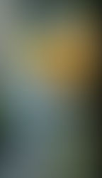 З Днем Незалежності України