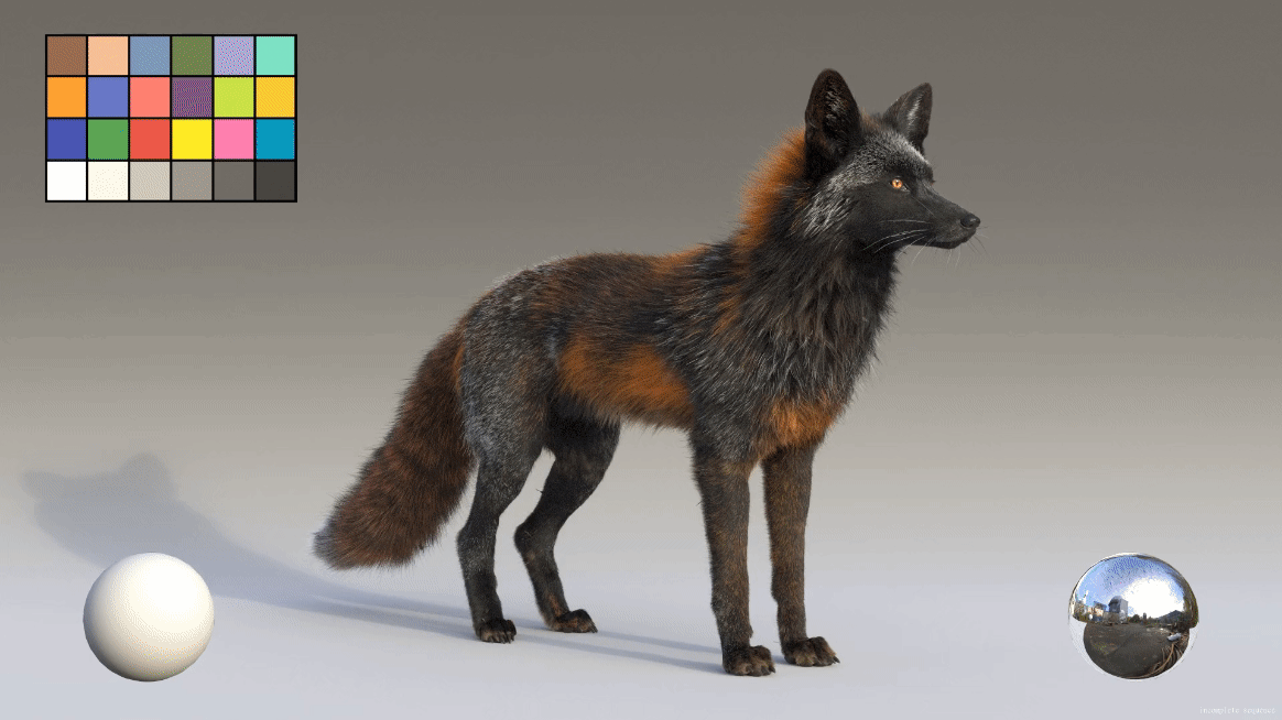 crossfox_1.gif