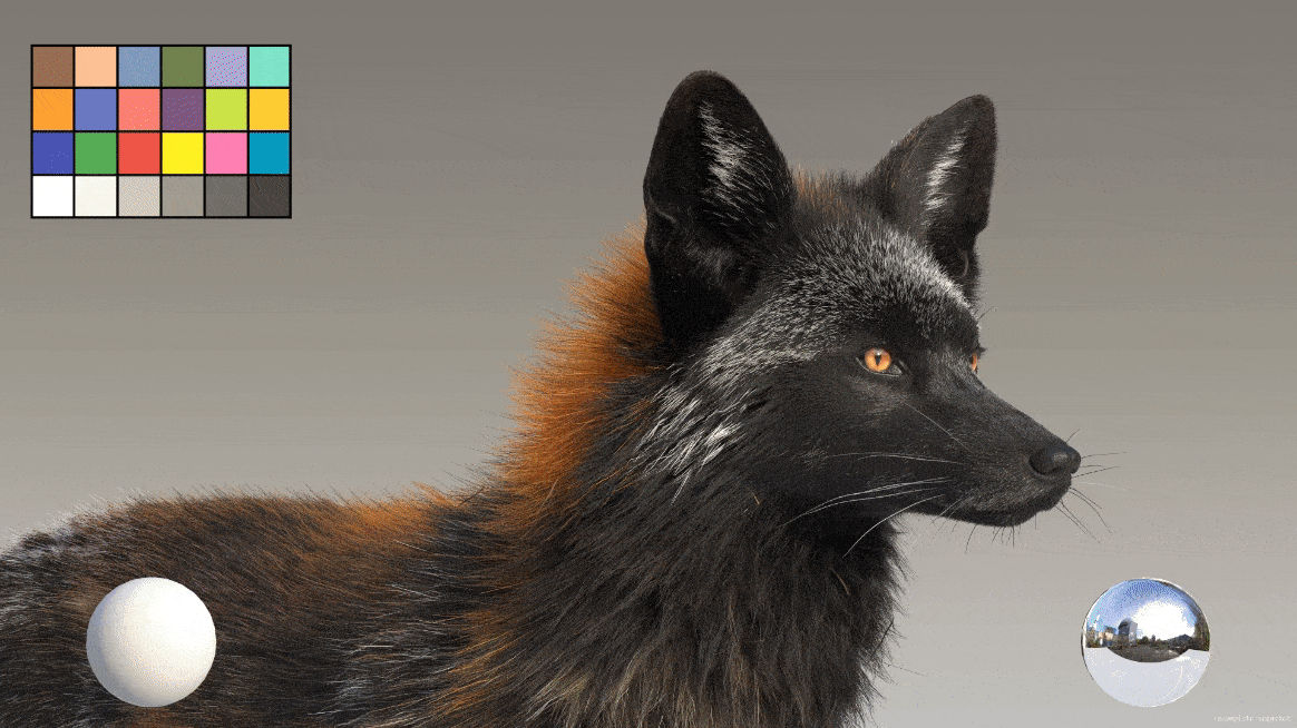crossfox_2.gif