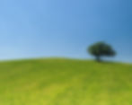 hill-421569_1600.jpg