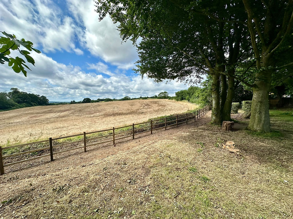 Archie's Landscapes Fencing
