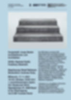 BSA_211117_Vorgestellt