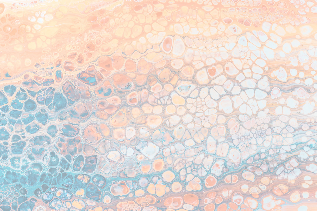 Website Background.png