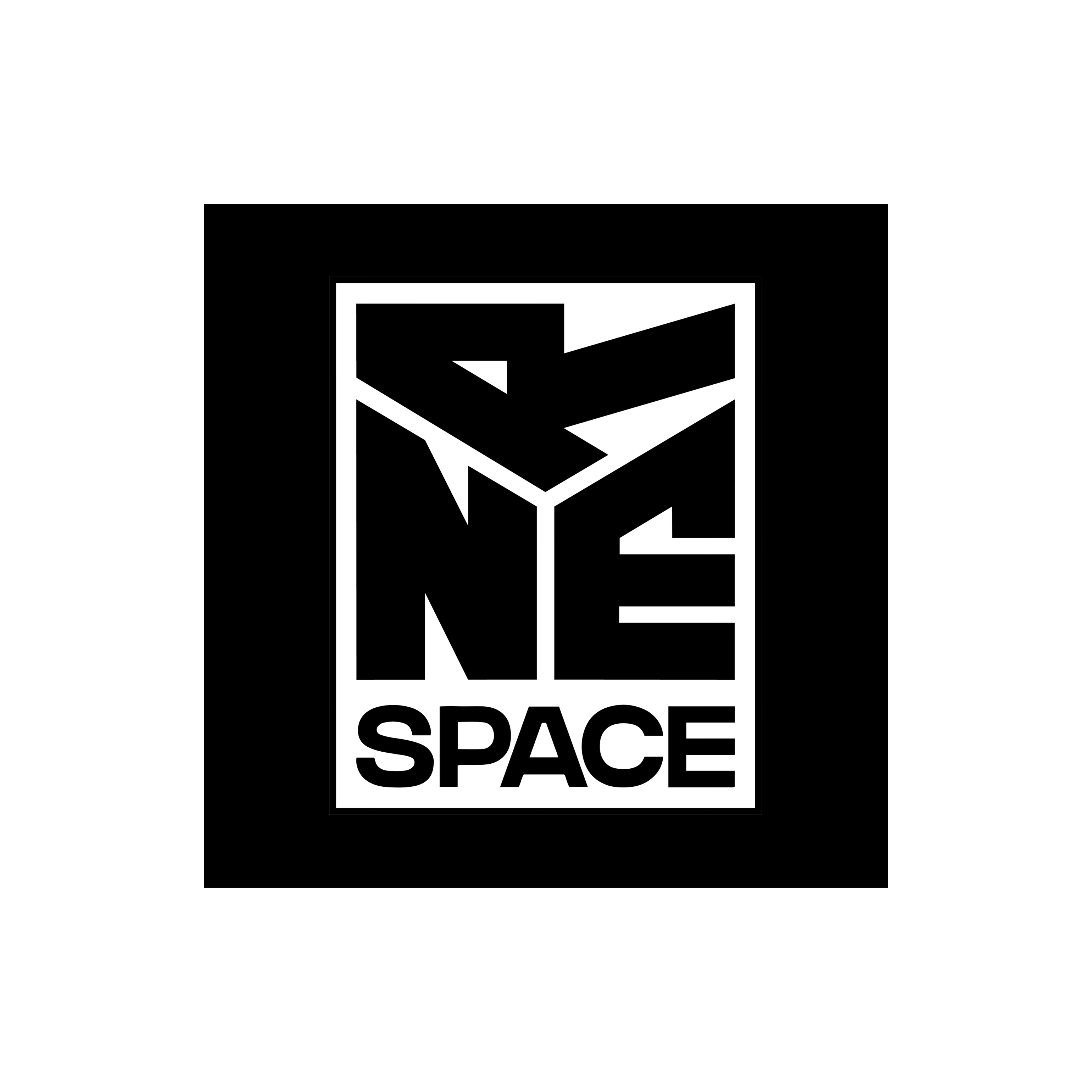 NRE Space logo