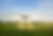 PLACEHOLDER_image2.png