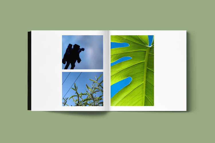 Inner Suburbs Astronaut 08