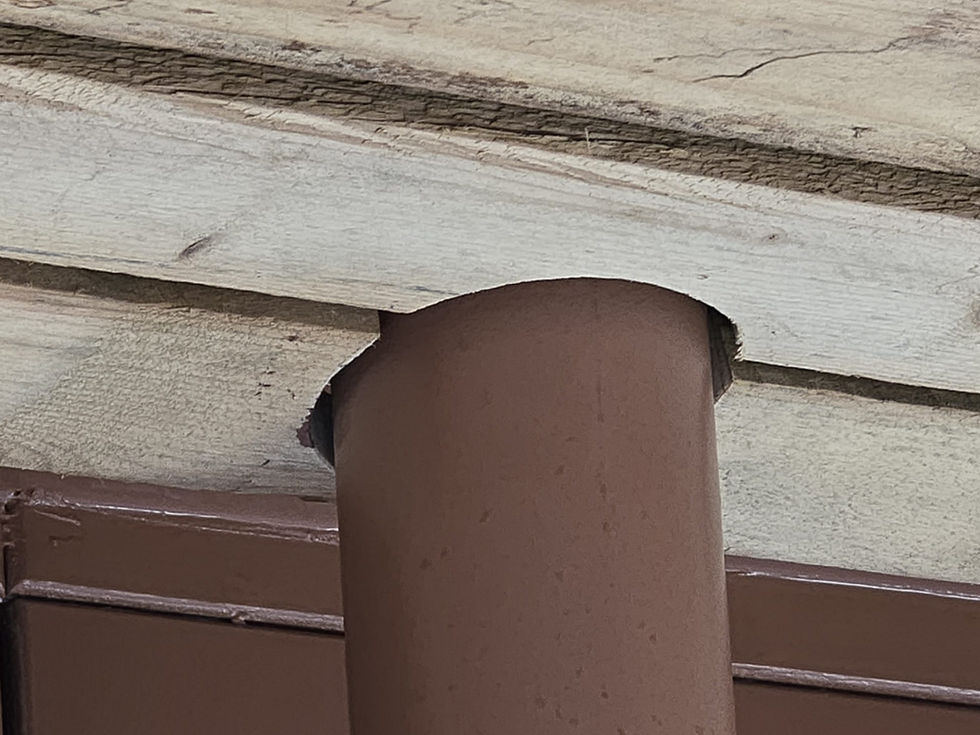 WhatsApp Image 2026-01-17 at 10.39.28 (2)