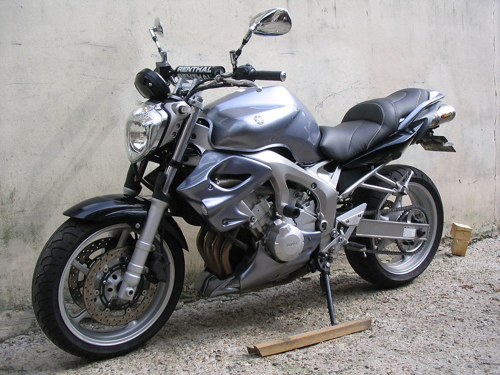 Miniature : ECOPES SPACE | FZ 6 S1 N (2003/2006)