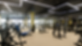 Free weights, gym courses