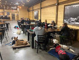 best puppy training near me, dog training for aggression, puppy aggression training, puppy training aggressive behavior, in home puppy training near me, dog training places near me, dog training and boarding, dog behavior training classes, dog training charlotte nc, puppy obedience training classes, home puppy training, one to one puppy training, one on one dog training near me, one on one dog training, dog training boarding school near me, one to one dog training, one to one dog training near me, off leash dog training near me, 1 to 1 dog training near me, dog training one on one, home dog training near me, k 9 training near me, boarding dog training, dog training private lessons, dog aggression training classes, all breed dog training, best puppy training classes near me, best dog training classes near me, charlotte dog obedience training, dog obedience training charlotte nc, obedience training for dogs charlotte nc, dog training classes charlotte nc, dog training North Carolina,