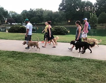 August Pack Walk 1.webp