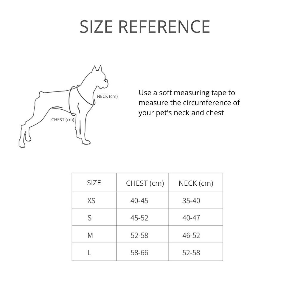 Miniature : Instachew PETKIT Air Fly Dog Harness