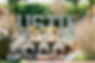 Austin1Bday-49.jpg