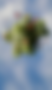 banner-bg-mobile.png