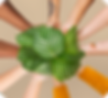 portfolio-3.png