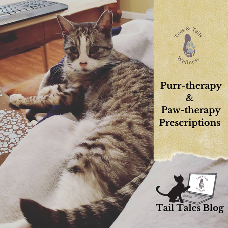 Purr-therapy and Paw-therapy Prescriptions
