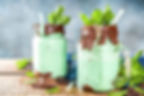 Herbalife Chocolate Mint