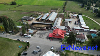 Sicamous Calf barn lost in overnight fire at D Dutchmen Dairy