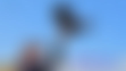 Birds of Prey Event Returns to Vernon