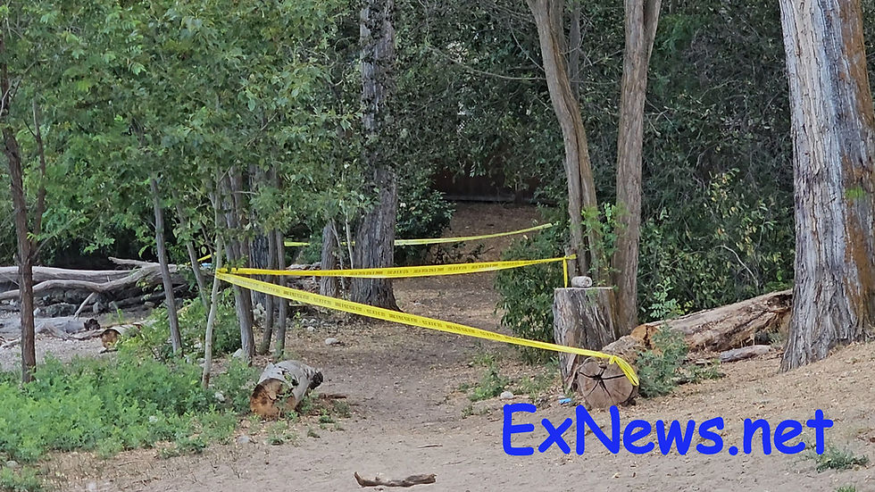 Possible Military Round Found at Pumphouse Beach