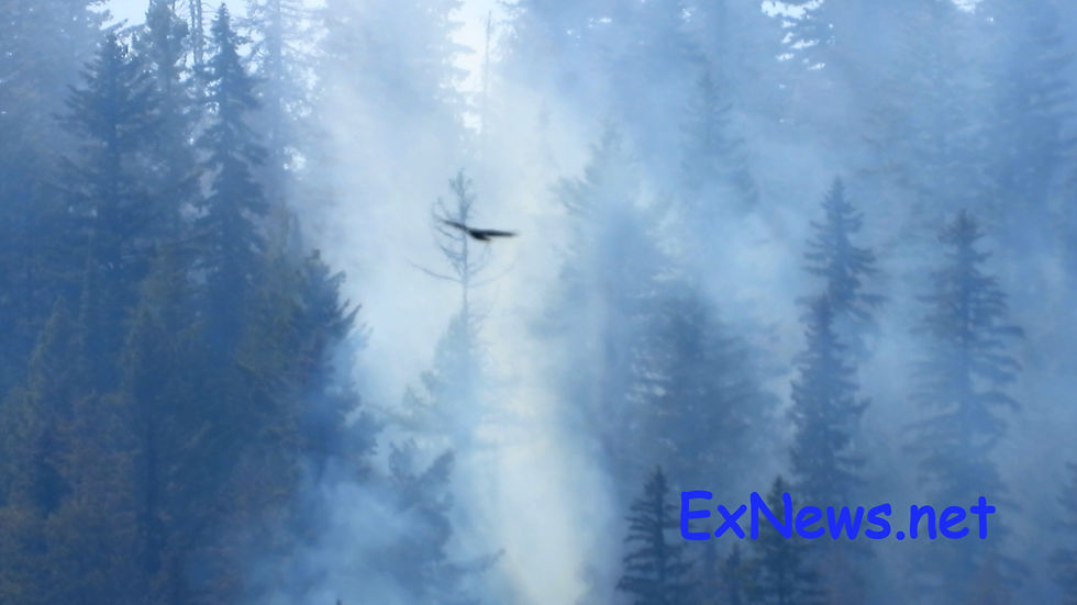 Small Lightning-Caused Wildfires Ignite Near Cherryville, Needles, and Nakusp