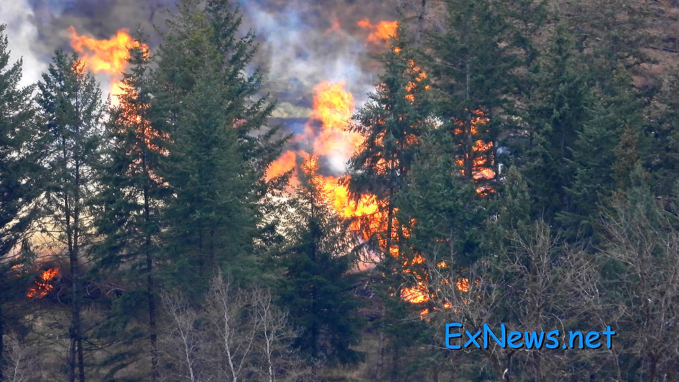 We Know About the Slash Pile Burn - Coldstream