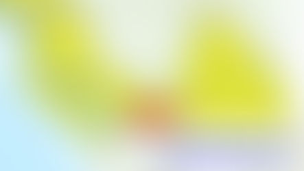 Heavy Rain Triggers Flood Warnings in British Columbia