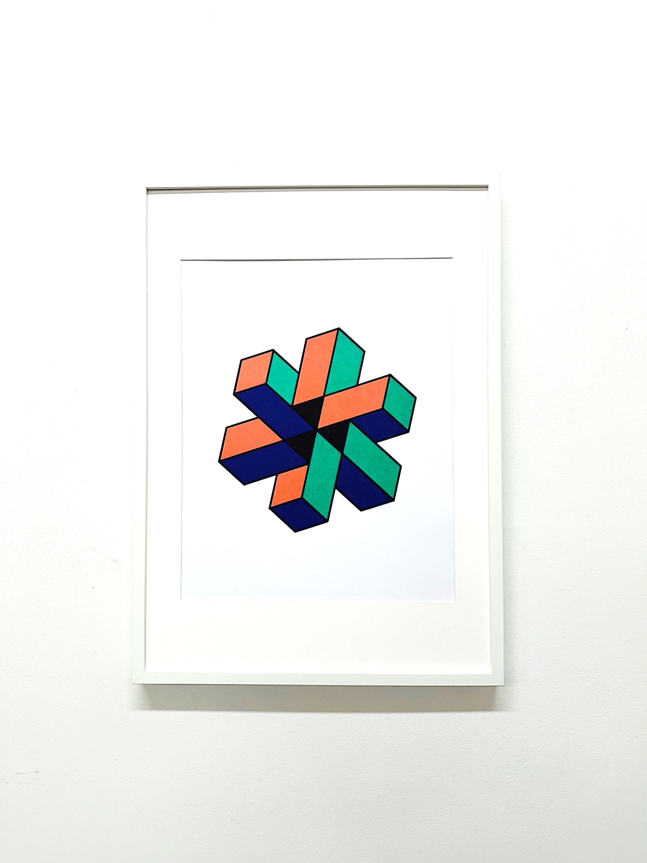 classic illusion vii.