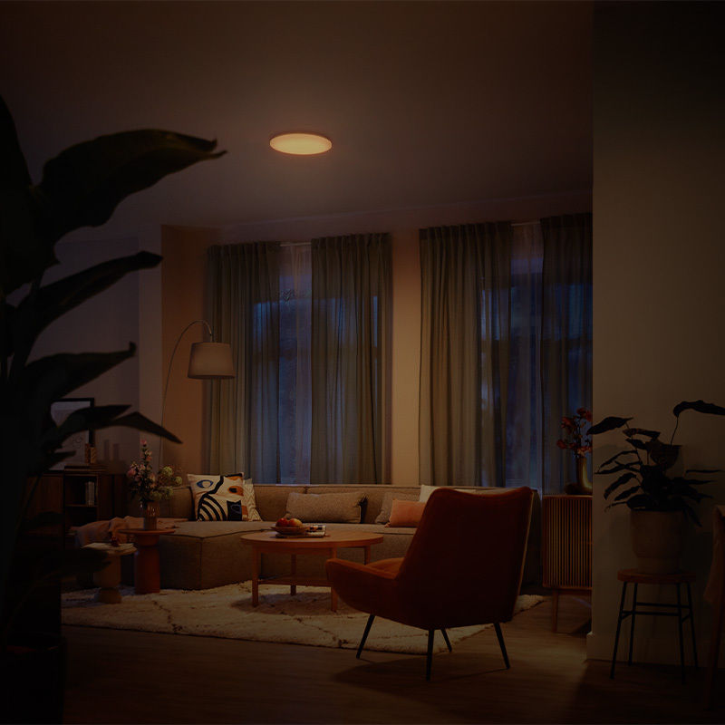 縮圖：Izso CL620 24W Entry AIO 多功能天花燈 Ceiling Light