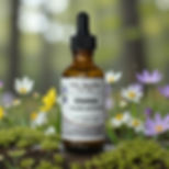 Usnea double extraction tincture from My Herbs for You, with AKUAMMA SEEDS Tincture, Organic in garden.